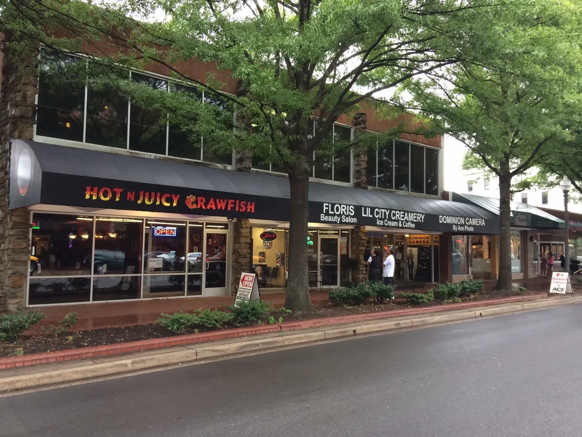 Street view of Hot Wok Café and neighboring shops under leafy trees on a quiet road.