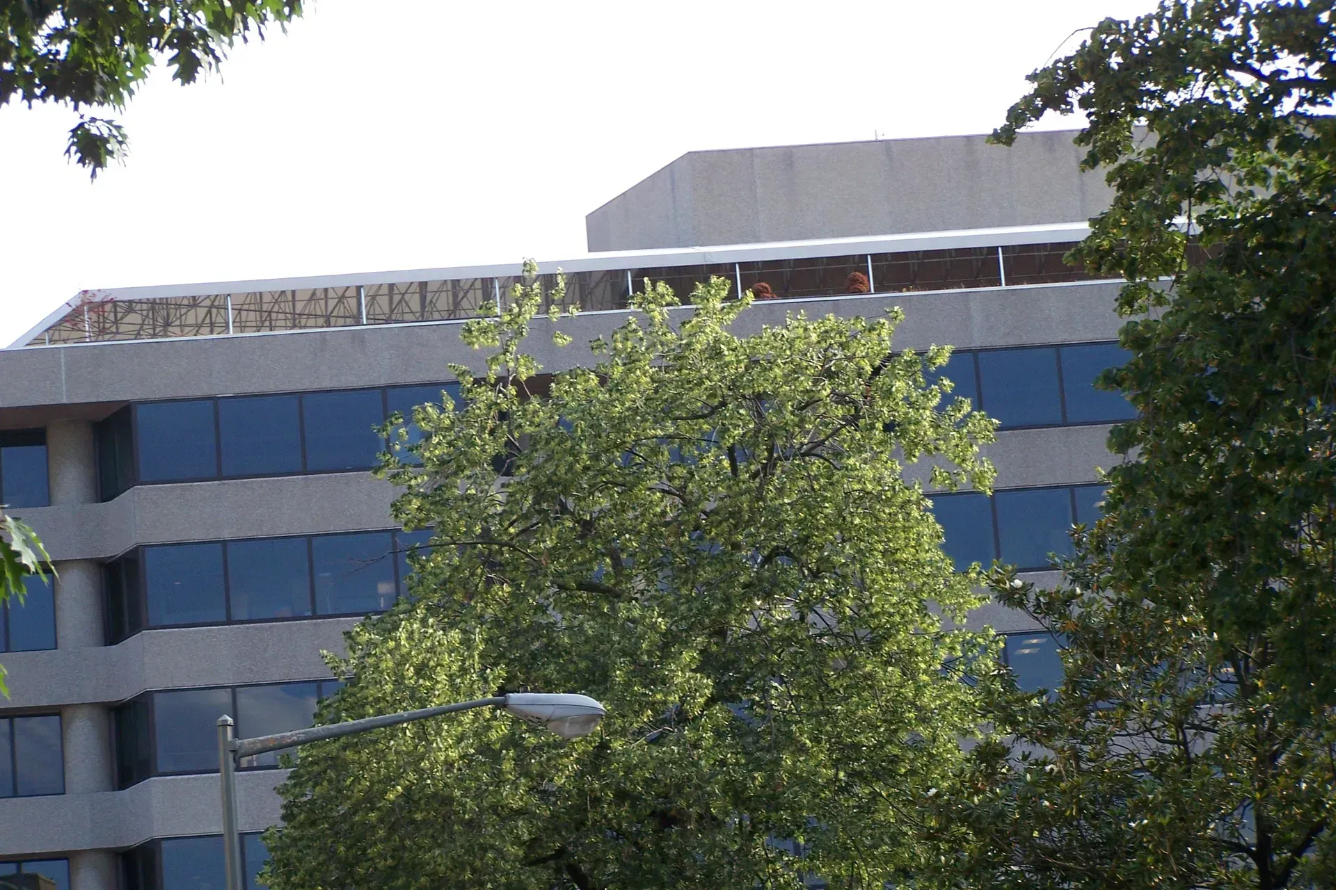 Modern office building with blue windows, partly obscured by leafy green trees