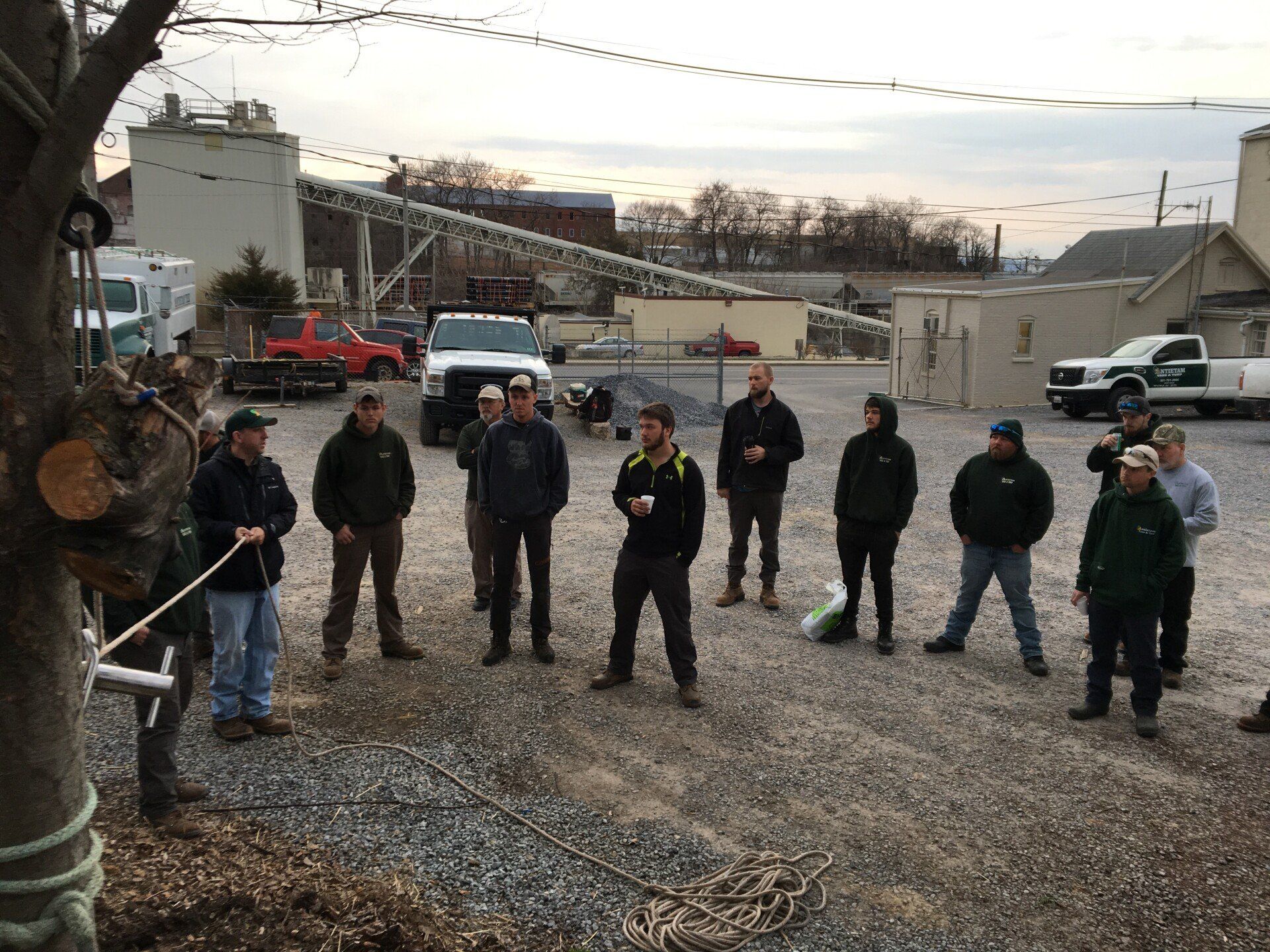 tree services training