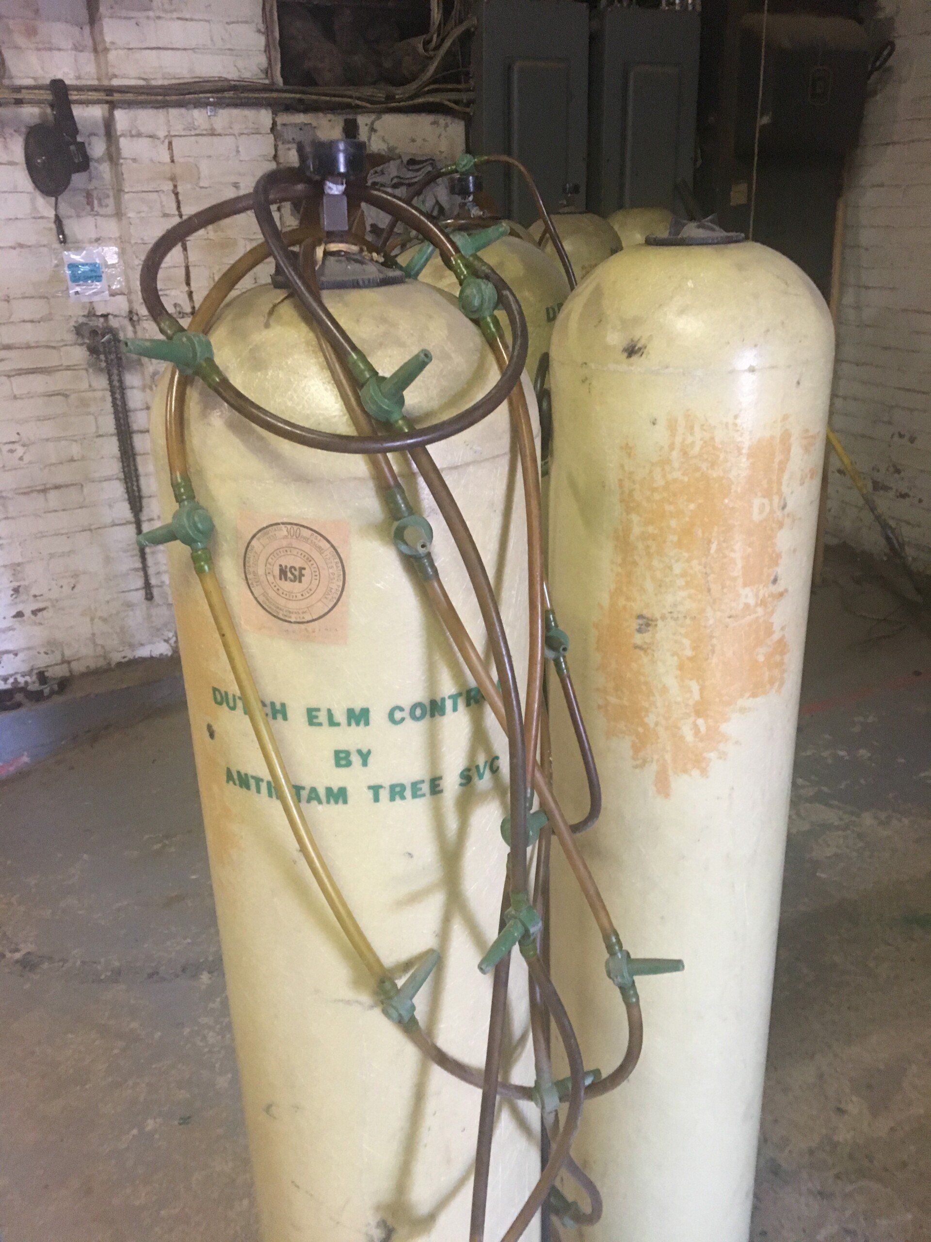 tree services equipment