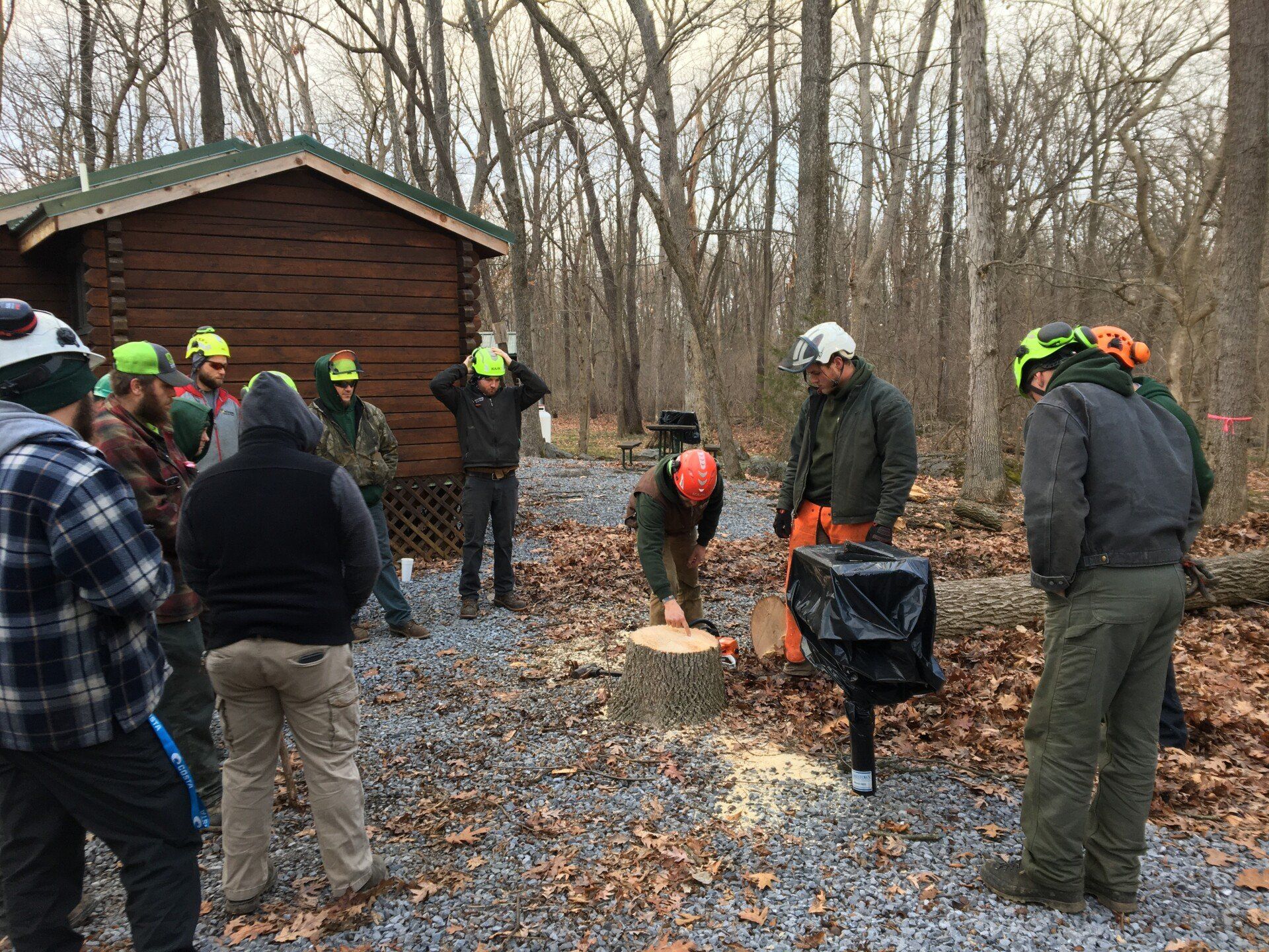 tree removal training