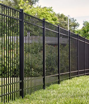 A black metal fence surrounds a lush green field.