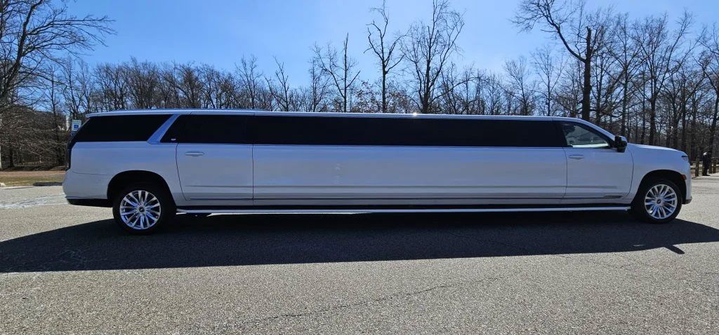 Photo of {{Team Member Name}}