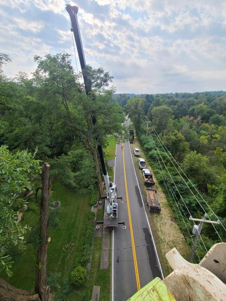 An aerial view of a tree being cut down next to a road.