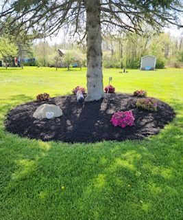 A tree surrounded by mulch and flowers in a lush green field.