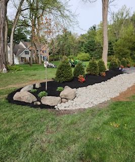 A lush green yard with trees , rocks , and mulch.