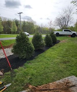 A white truck is parked in the grass next to a row of trees.