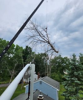 A crane is lifting a tree branch over a house.