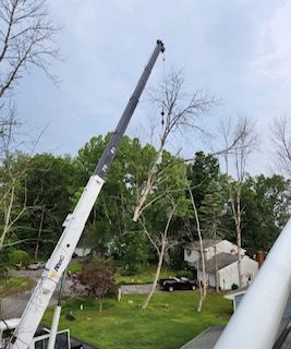 A crane is cutting down a tree in a yard.