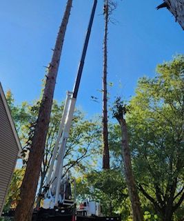 A crane is cutting down a tree in front of a house.