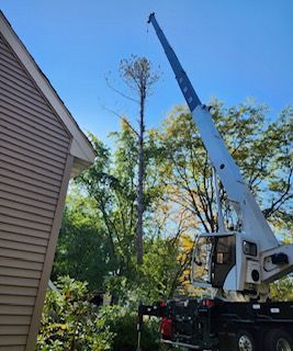A crane is cutting a tree in front of a house.