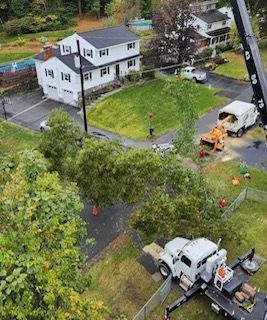 An aerial view of a crane cutting a tree in front of a house.