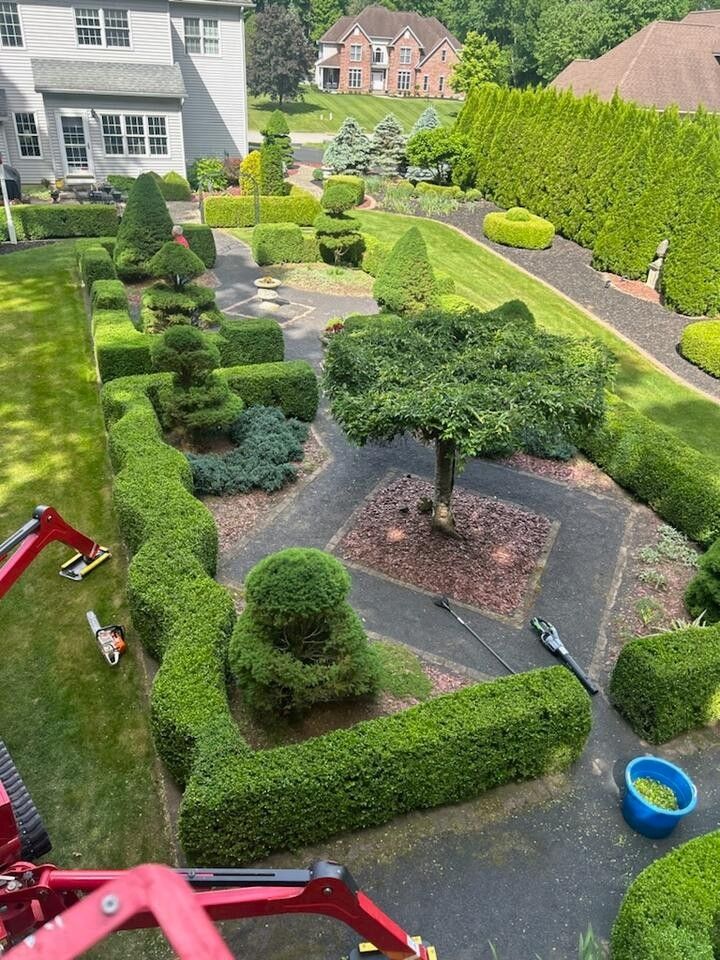 An aerial view of a lush green garden with a house in the background.