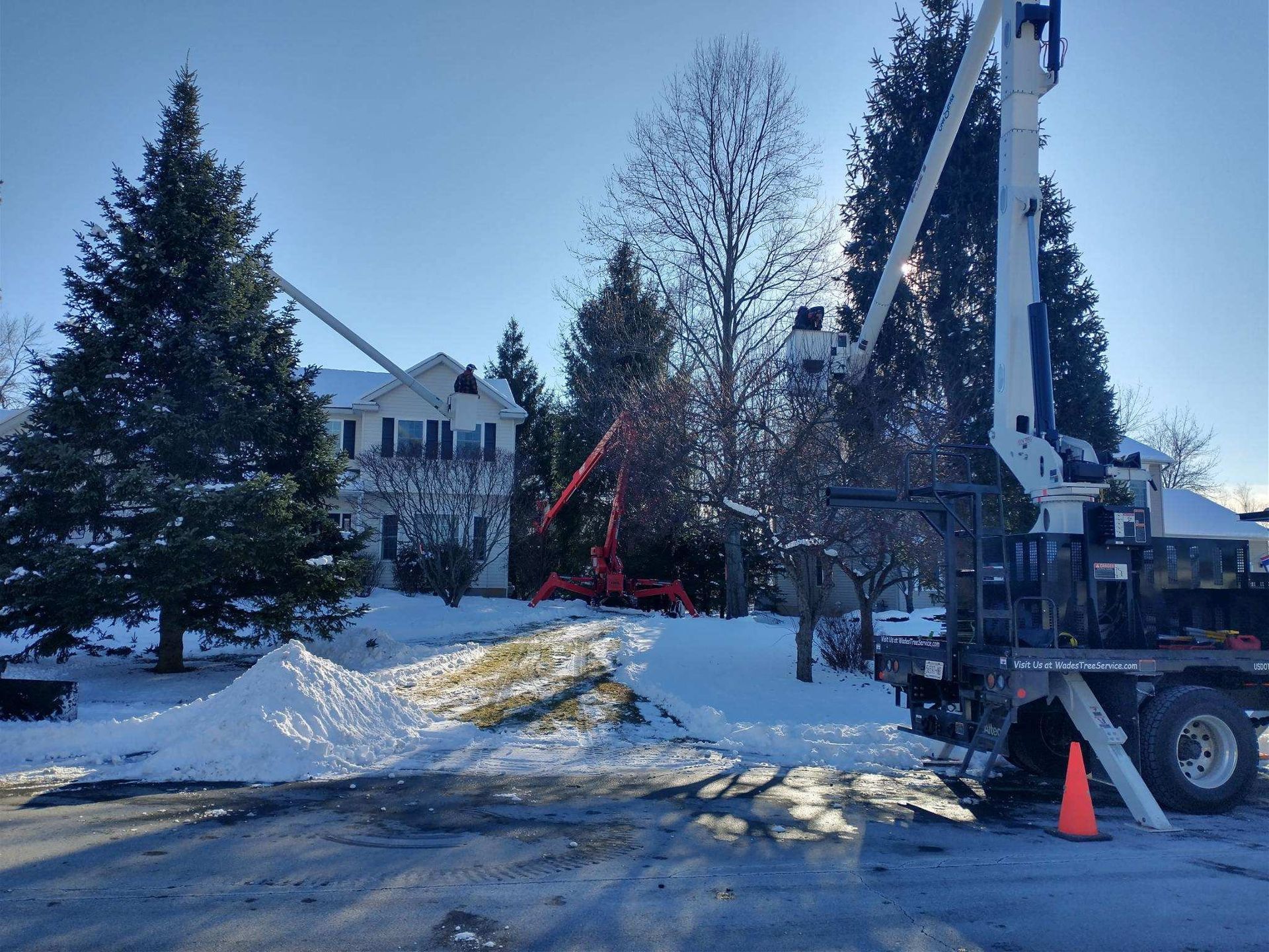 Snowy scene with two tree service trucks trimming trees in front of a house. Bright sunlight.