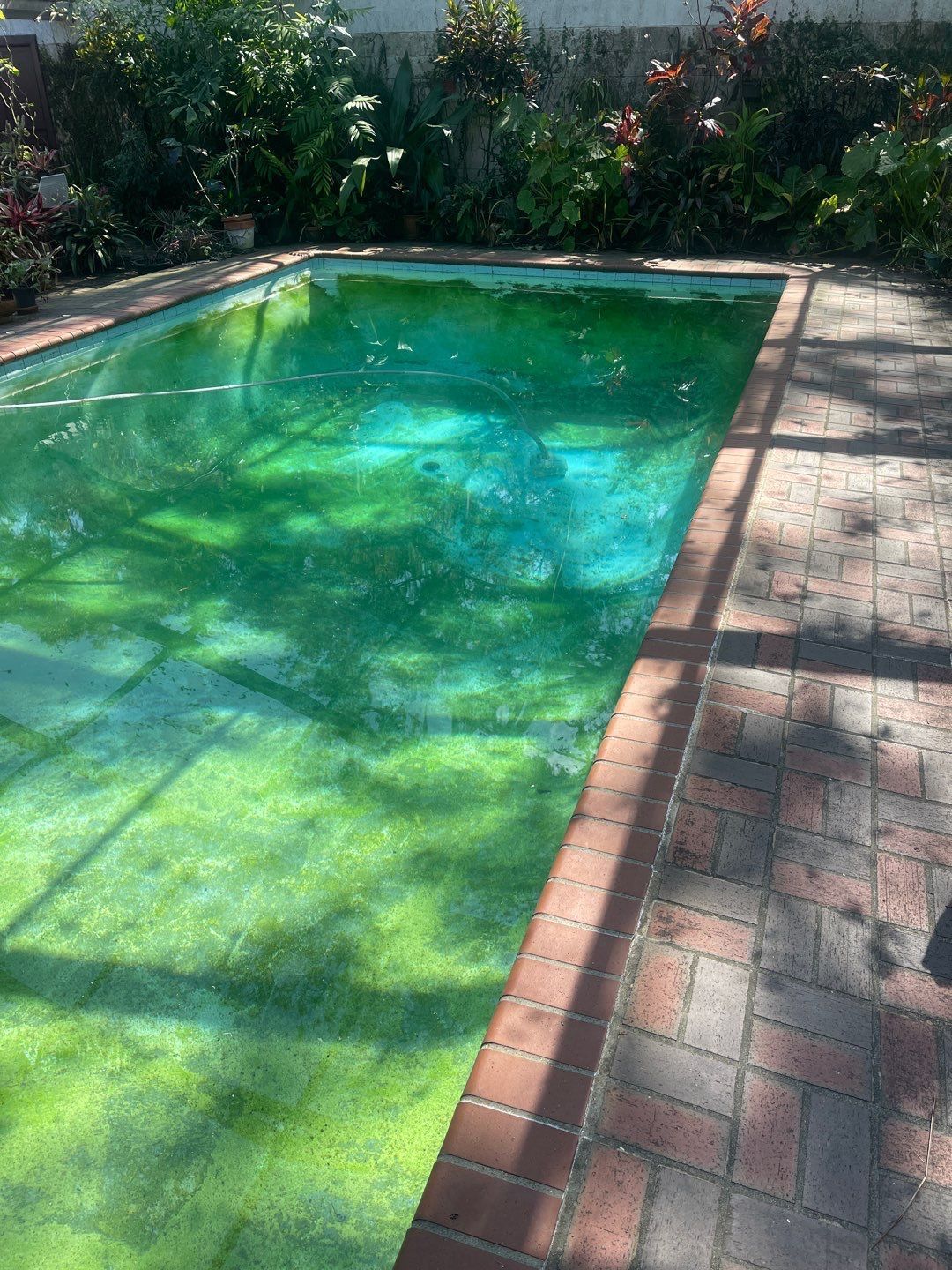 fiberglass pool