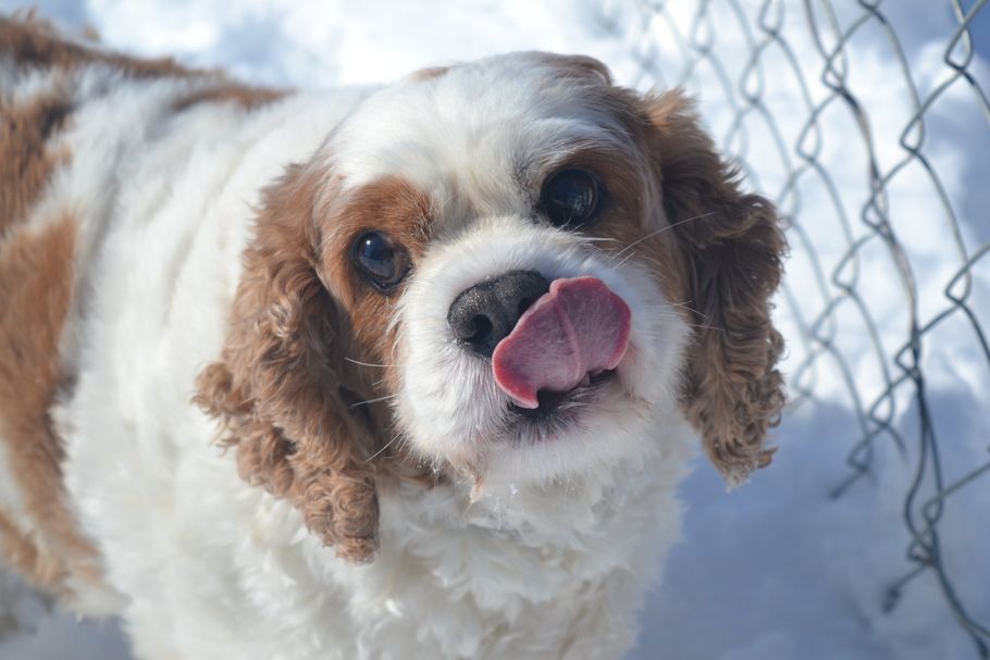 We are Hiring banner Click here to join our team