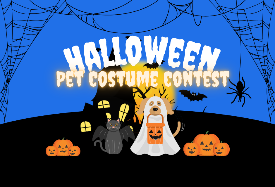 Halloween pet costume contest graphic: Dog and cat in costumes, pumpkins, bats, moon, and cobwebs.