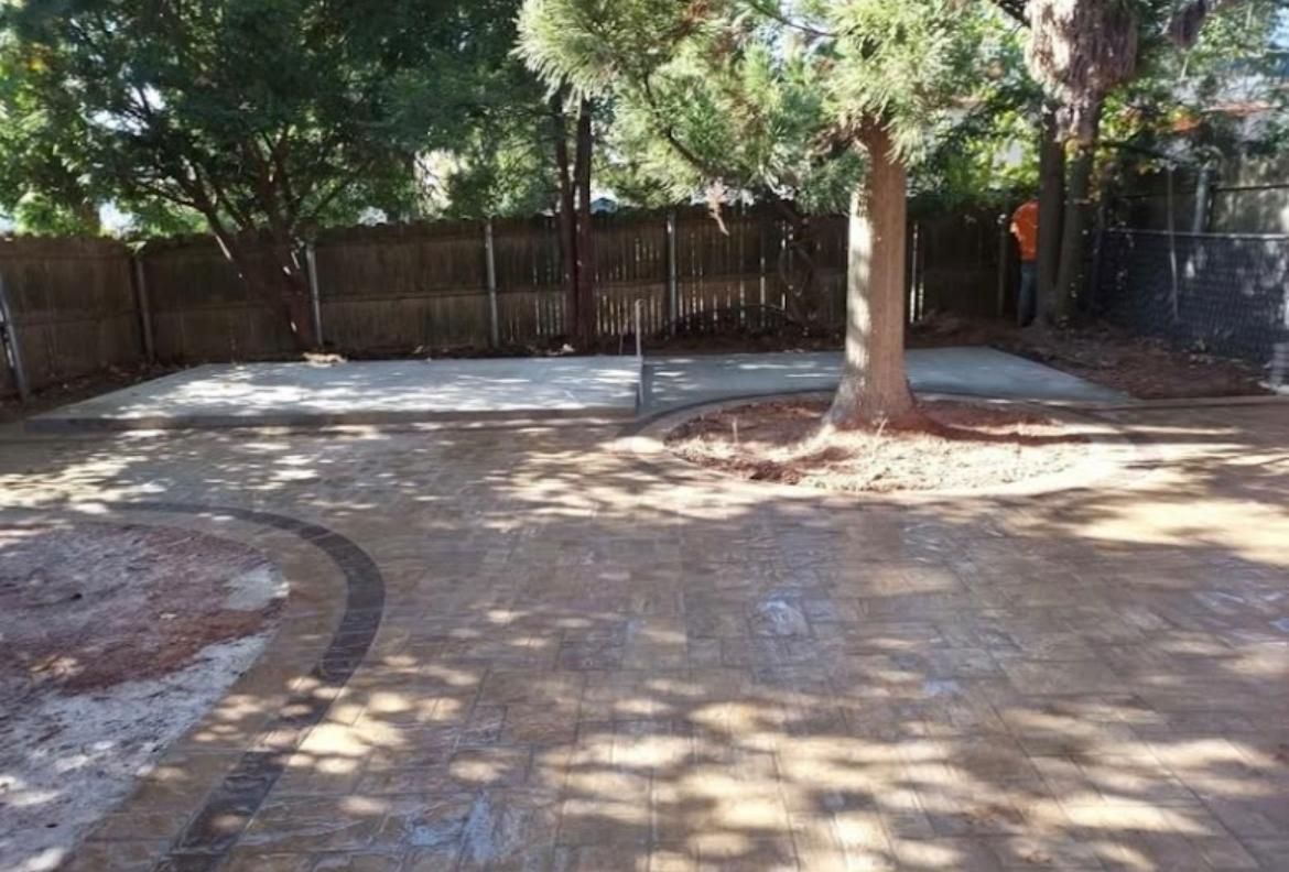 Paver patio with tree, bordered by a curved edge and a wooden fence, under a sunny sky.