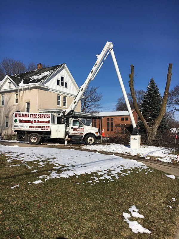 tree removal truck