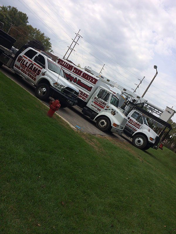 Tree Removal trucks