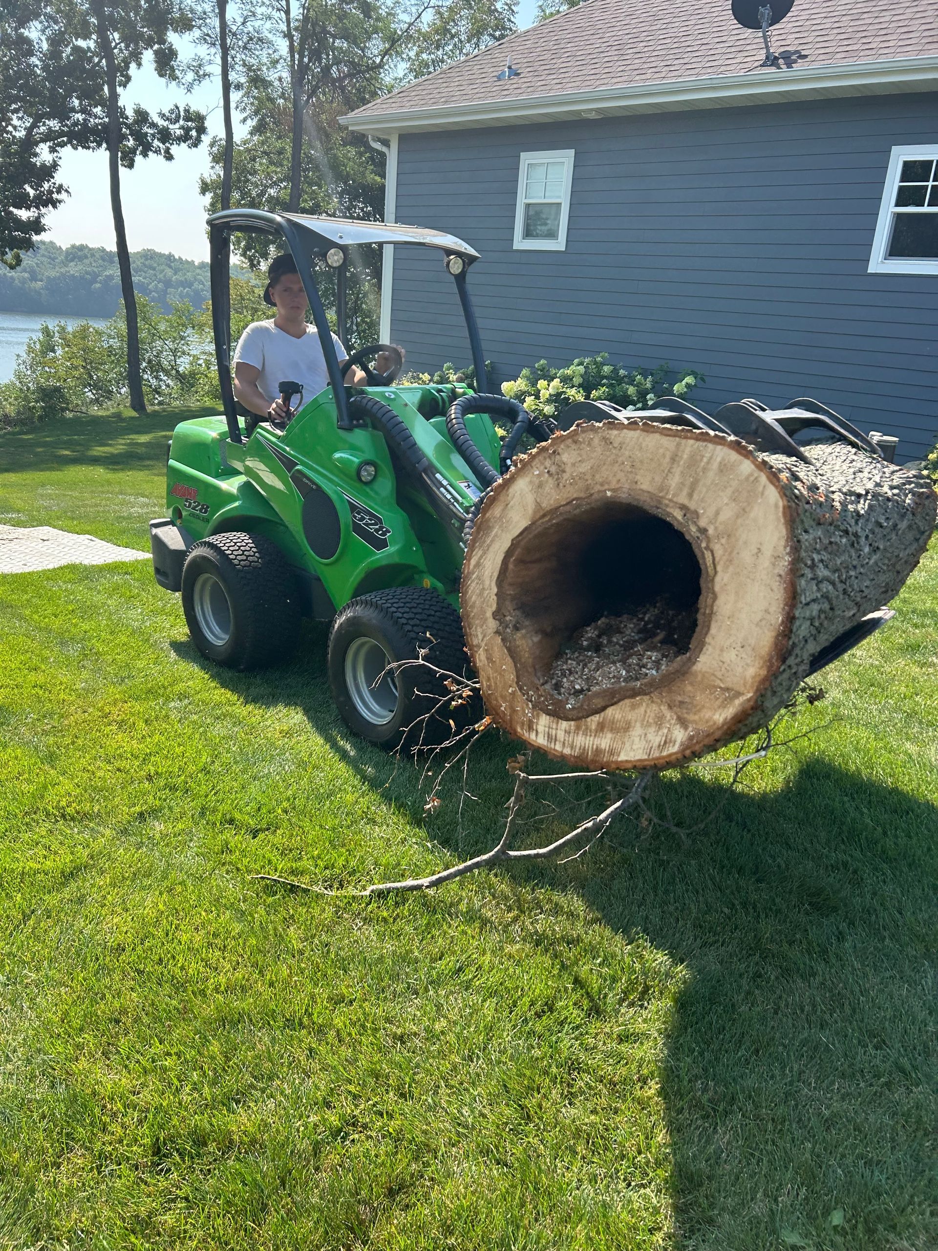 tree removal #8