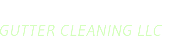 Fox Valley Gutter Cleaning - Logo