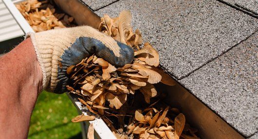 Gutter service