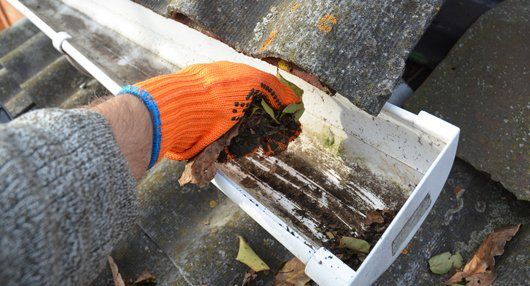 Gutter cleaning service