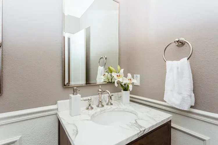 Bathroom vanity with mirror, white sink, towel ring, and small orchid on a countertop.
