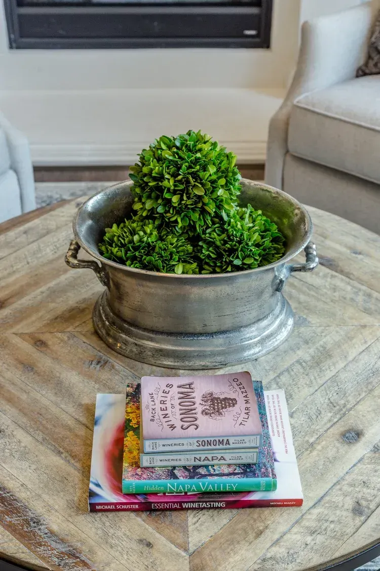 Tray with a small green plant and stacked books on a coffee table in a living room.