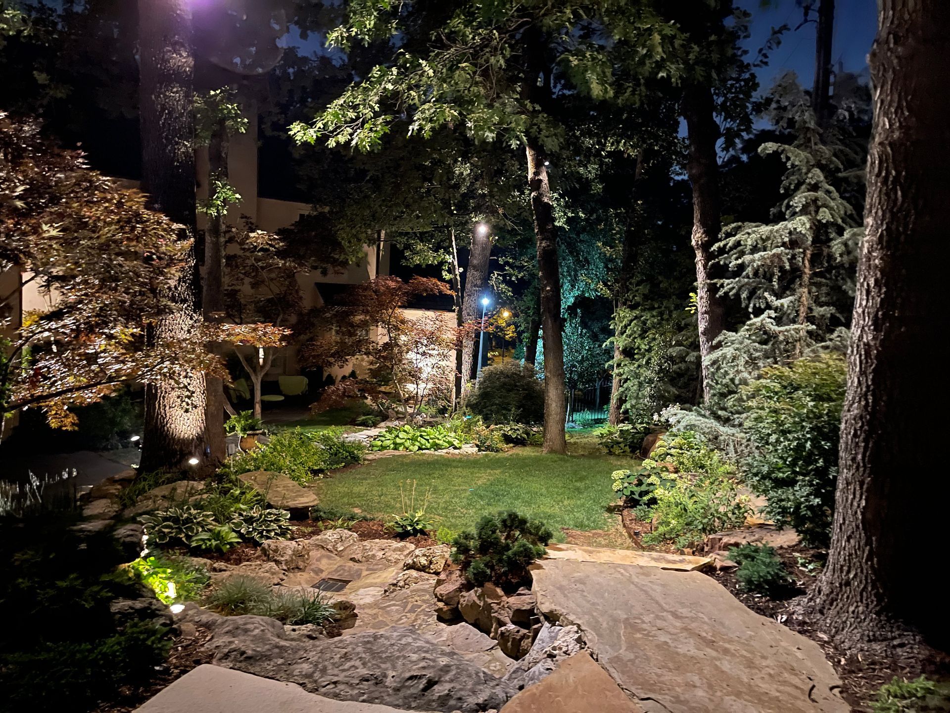 Night view of a garden with trees, bushes, a small lawn, and rock path, lit by spotlights.