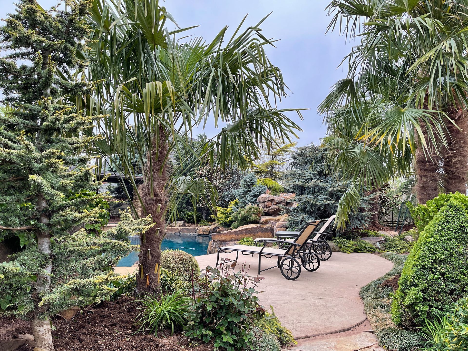 A backyard with a pool, palm trees, and lounge chairs on a stone patio. Lush greenery surrounds the space.