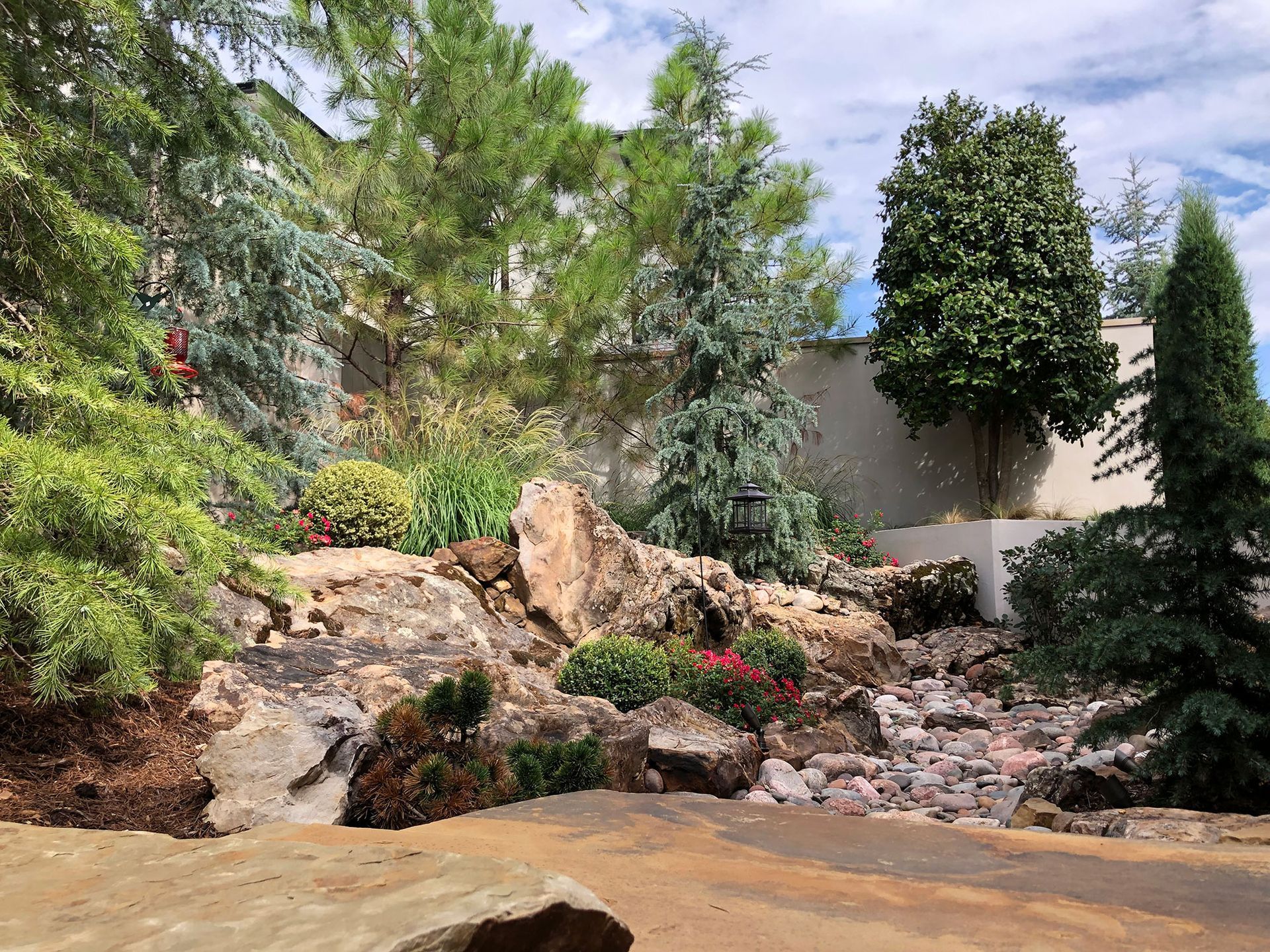 A garden with rocks, various green trees and plants, red flowers, and a light-colored wall in the background.
