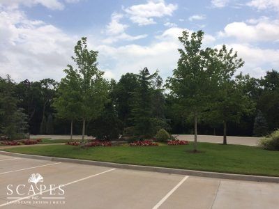 Trees and flowerbeds in a manicured green space next to a parking lot. Overcast sky.