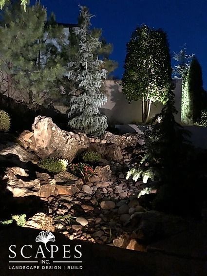 Nighttime landscape illuminated by spotlights, featuring trees, rocks, and greenery.