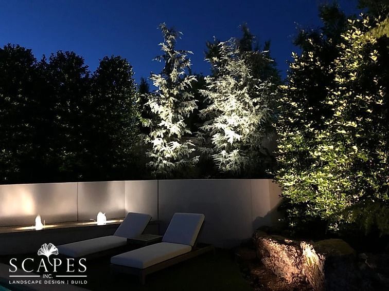 Lounge chairs and illuminated trees at night. Outdoor scene with white lights and a small fountain.