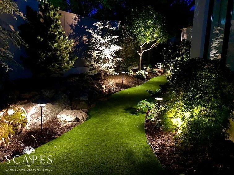 Pathway through a nighttime garden, illuminated by spotlights on trees and ground. Lush green grass and dark foliage contrast with the lights.