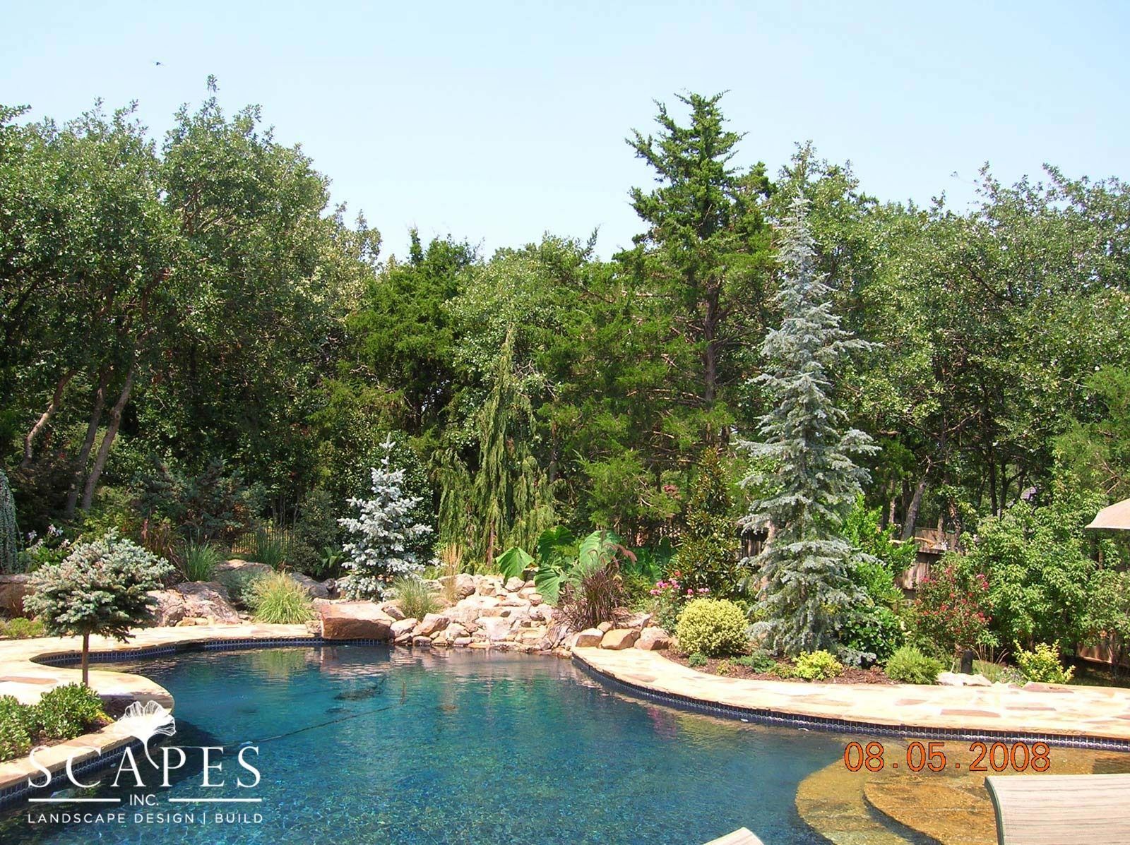 A backyard pool surrounded by trees and landscaping under a blue sky. The water is dark blue.