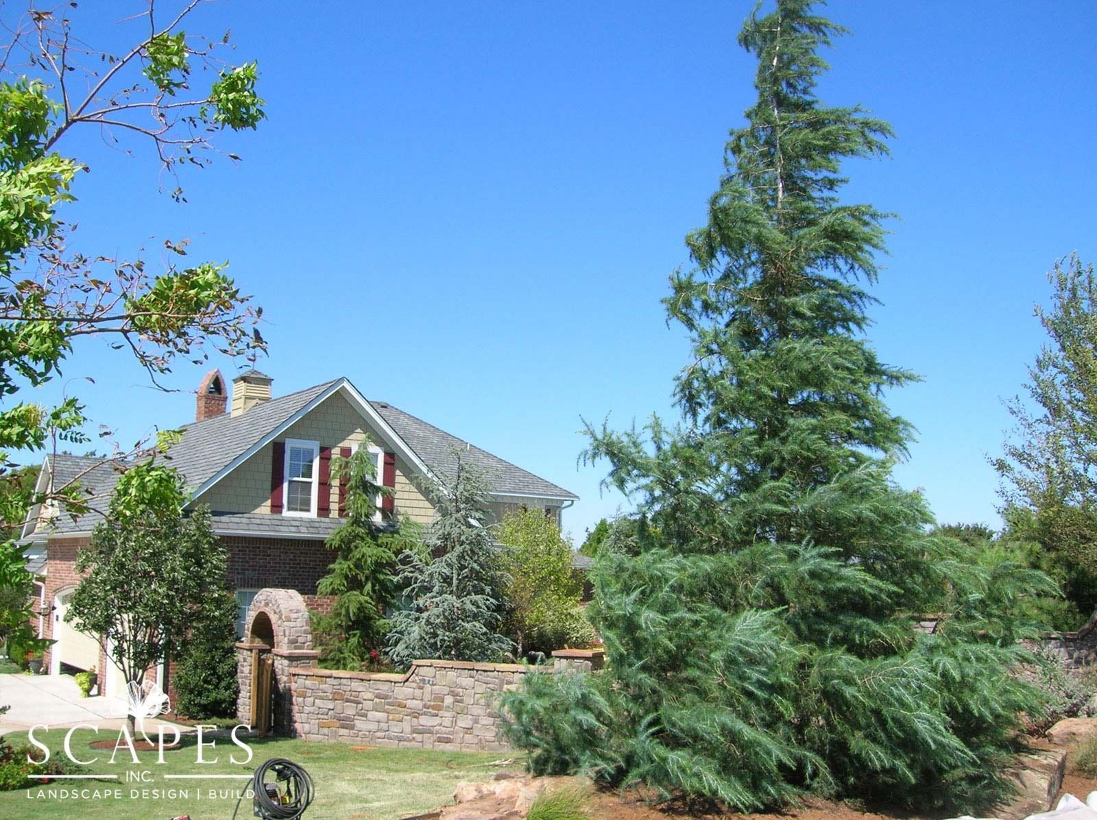 A house with a stone facade and arched entry is framed by lush greenery under a clear blue sky.