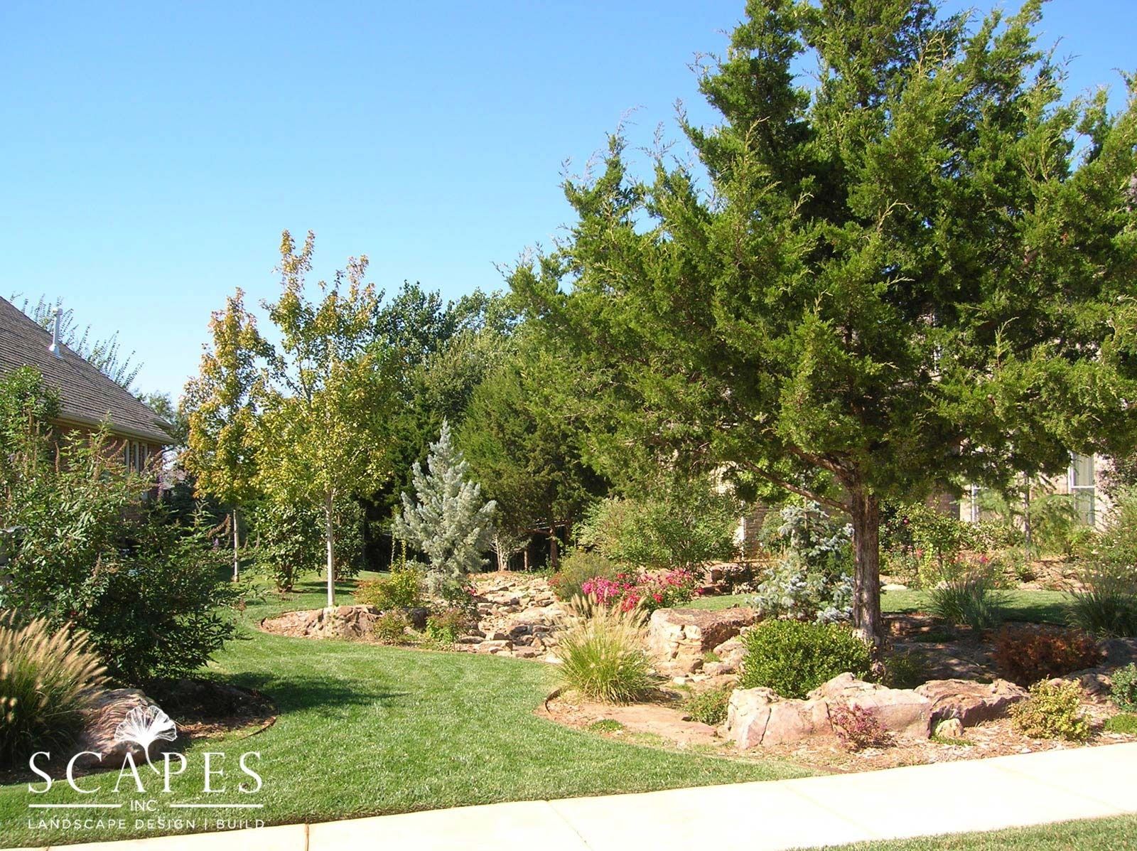 Landscaped front yard with various trees, shrubs, and rock formations, under a clear blue sky.