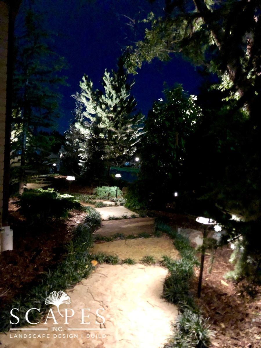 A lit garden pathway at night. Upward sloping path with lights illuminating trees and surrounding plants, against a dark blue sky.