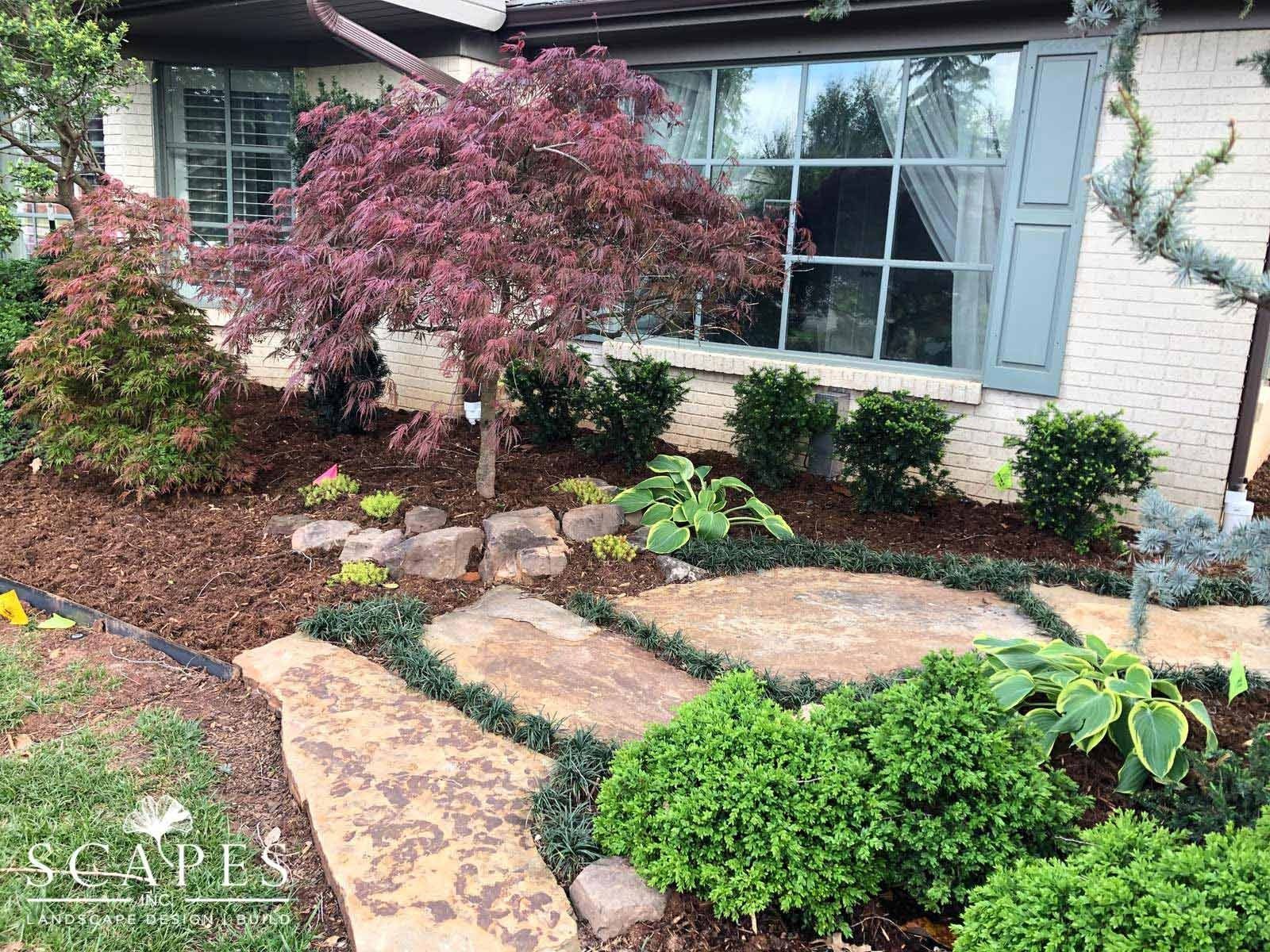 A well-landscaped front yard with a stone path, shrubs, and a small Japanese maple in front of a house.