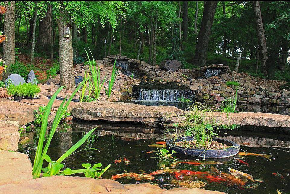 Backyard pond with water lilies, rocks, and a small waterfall surrounded by lush greenery