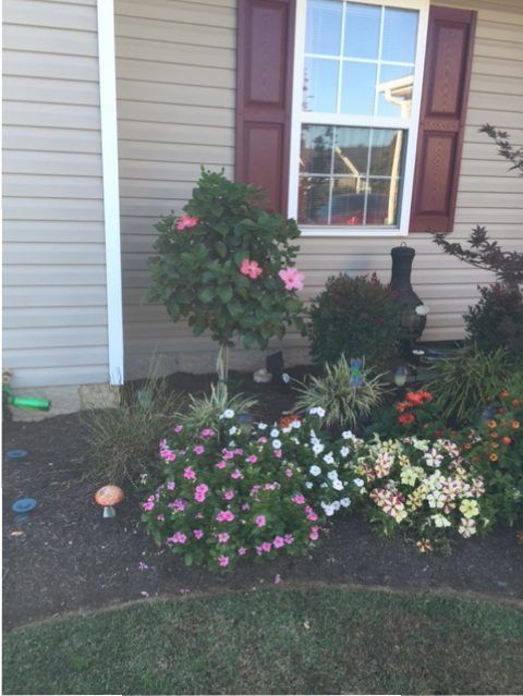 Front porch garden with pink, white, and purple flowers beneath a window and shutters