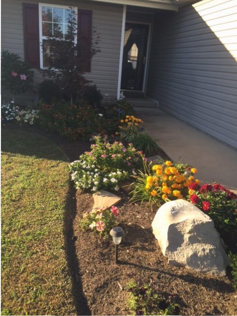 Front yard flower bed with colorful blooms, a large rock, and a house entrance at dusk.