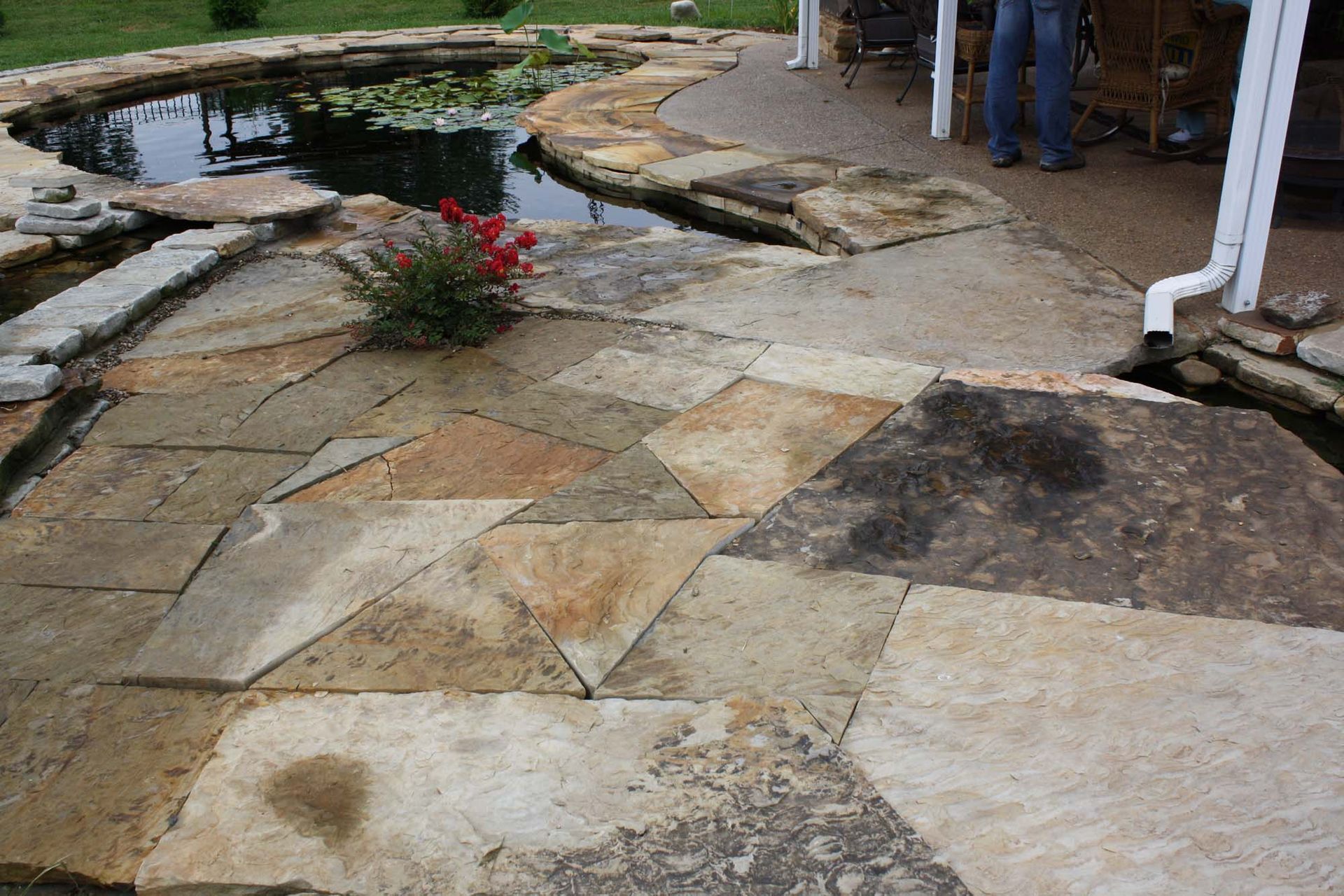 Stone patio beside a pond with curved stepping stones and a small red flowering shrub