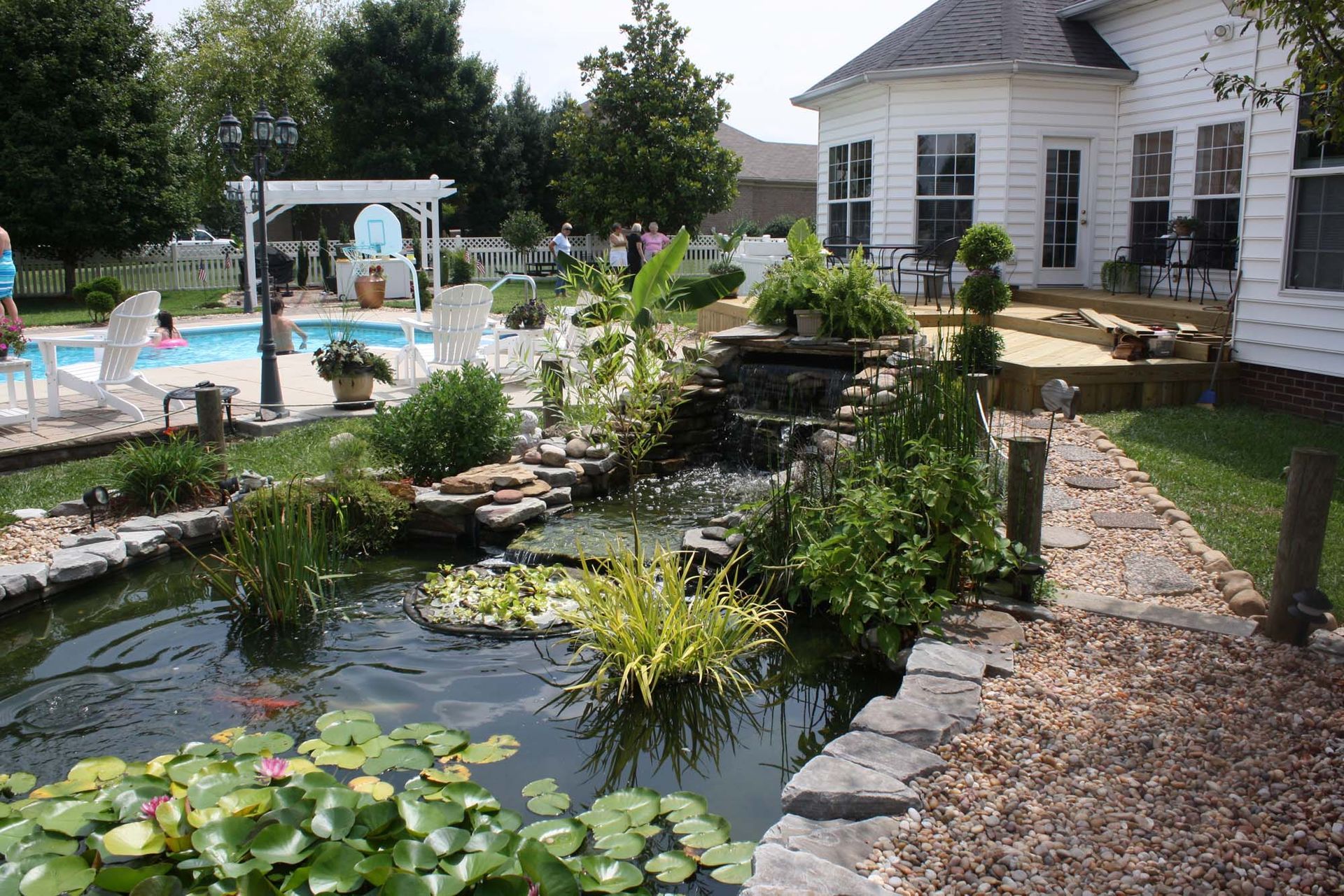 Backyard pond with lily pads beside a patio, pool, and white house