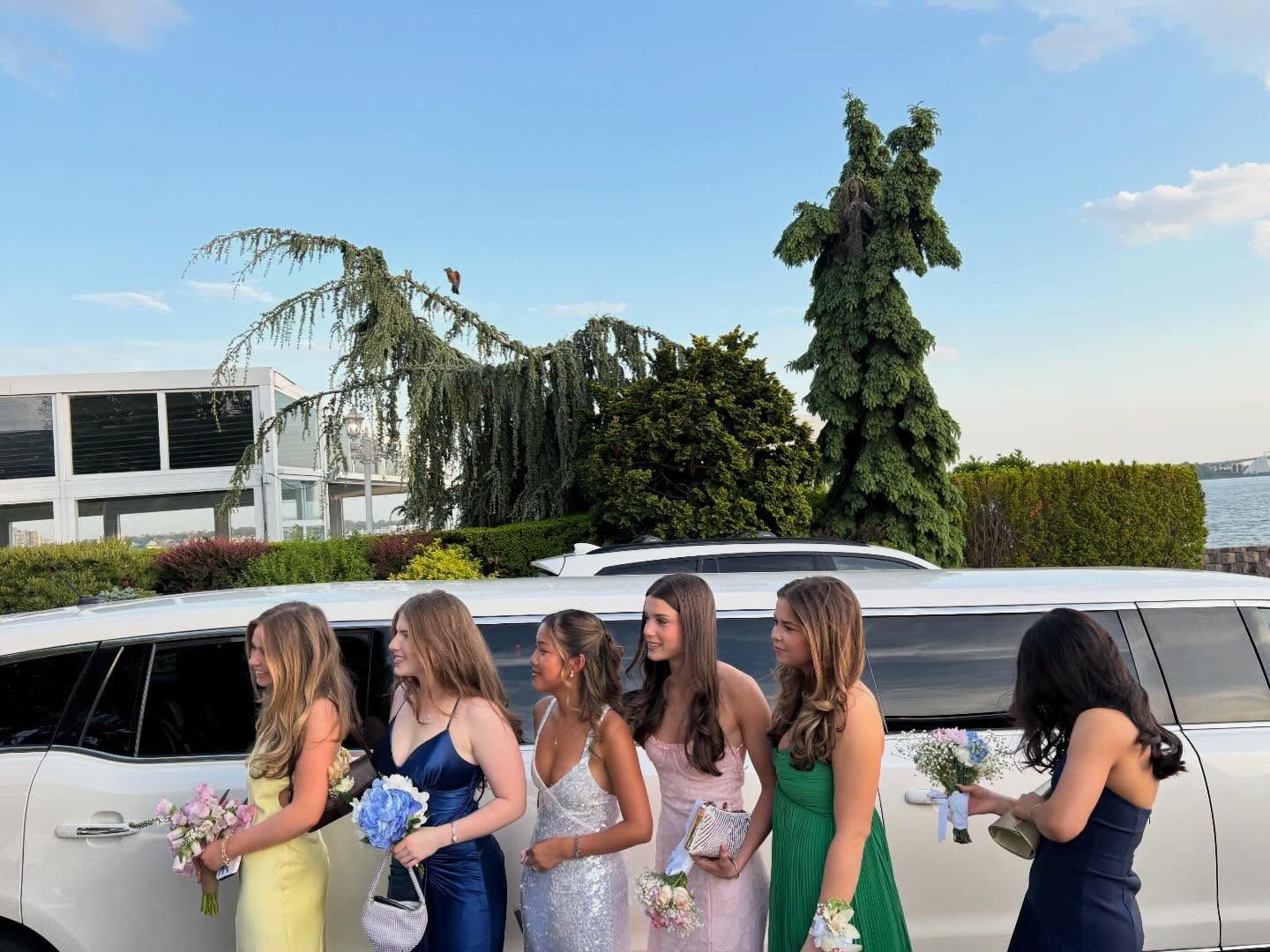 Five women in dresses stand beside a white limousine at an outdoor event.