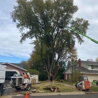 A tree is being cut down in front of a house.