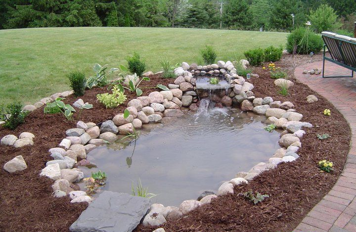 Small backyard pond with rocks, water plants, and a stone border beside a lawn and patio.